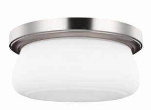 Потолочный светильник для ванной комнаты Elstead Lighting Vintner FE-VINTNER-F-M цена и информация | Потолочные светильники | 220.lv
