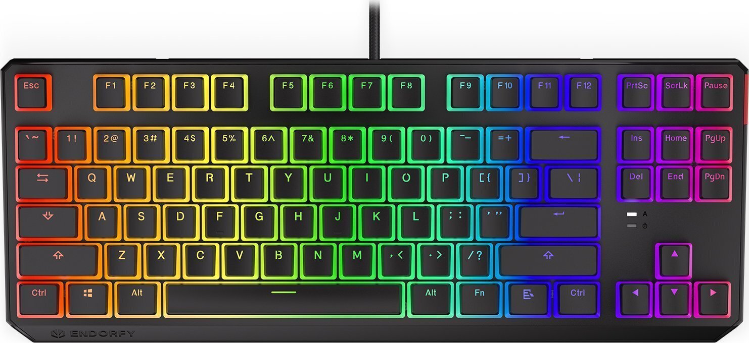 Endorfy Thock TKL Pud Kailh RD RGBEY5A006 цена и информация | Klaviatūras | 220.lv