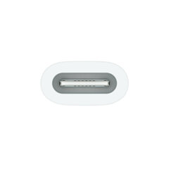 Apple USB-C to Apple Pencil Adapter - MQLU3ZM/A цена и информация | Apple Aксессуары для компьютеров | 220.lv