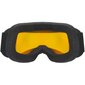 Slēpošanas brilles Uvex elemnt fm melnas, zaļas цена и информация | Slēpošanas brilles | 220.lv