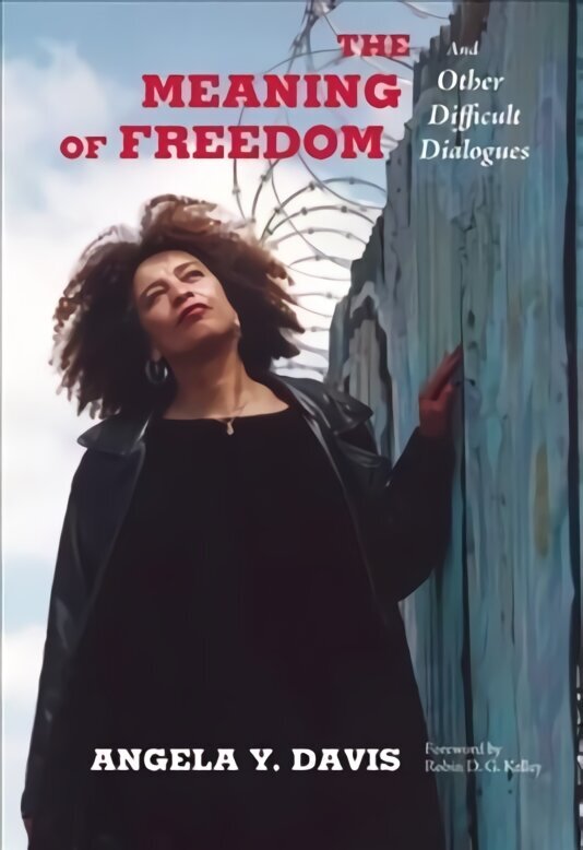 Meaning of Freedom: And Other Difficult Dialogues cena un informācija | Sociālo zinātņu grāmatas | 220.lv