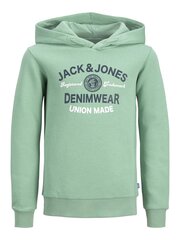 Jack & Jones bērnu sporta krekls 12212287*02, piparmētra 5715364229237 cena un informācija | Zēnu jakas, džemperi, žaketes, vestes | 220.lv