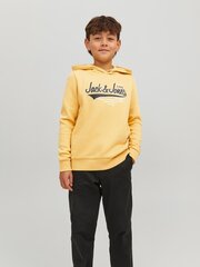 Jack & Jones bērnu sporta krekls 12212287*03, sinep 5715364229619 cena un informācija | Zēnu jakas, džemperi, žaketes, vestes | 220.lv