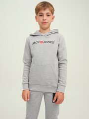 Jack & Jones bērnu sporta krekls 12212186*01, gaiši pelēks 5715307883762 cena un informācija | Zēnu jakas, džemperi, žaketes, vestes | 220.lv