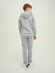 Jack & Jones bērnu sporta krekls 12212186*01, gaiši pelēks 5715307883762 cena un informācija | Zēnu jakas, džemperi, žaketes, vestes | 220.lv