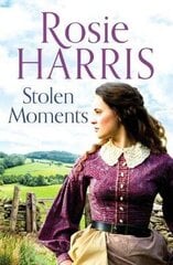 Stolen Moments: A heartwarming saga of forbidden love цена и информация | Фантастика, фэнтези | 220.lv