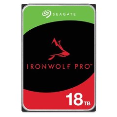 Seagate IronWolf Pro, 18TB (ST18000NT001) цена и информация | Внутренние жёсткие диски (HDD, SSD, Hybrid) | 220.lv