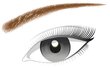 BROW ARTIST DESIGNER - uzacu zīmulis, 303 Deep Brown цена и информация | Uzacu krāsas, zīmuļi | 220.lv