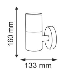 Āra lampa Polux LED Collum 25W,IP44 cena un informācija | Āra apgaismojums | 220.lv