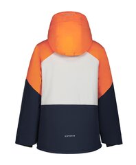 Icepeak bērnu jaka 180g Lucka 50029-2*460, oranžs/gaiši pelēks 6438535279945 cena un informācija | Zēnu virsjakas | 220.lv