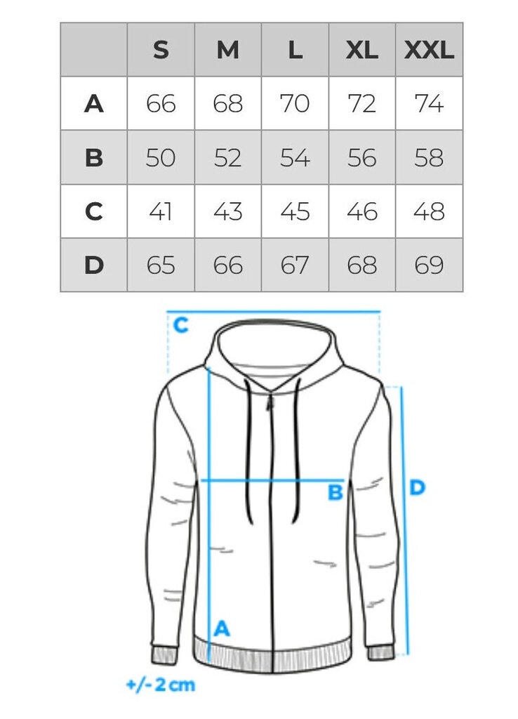 Vīriešu trīskrāsainā jaka ar kapuci Ombre B1420 cena un informācija | Vīriešu jakas | 220.lv