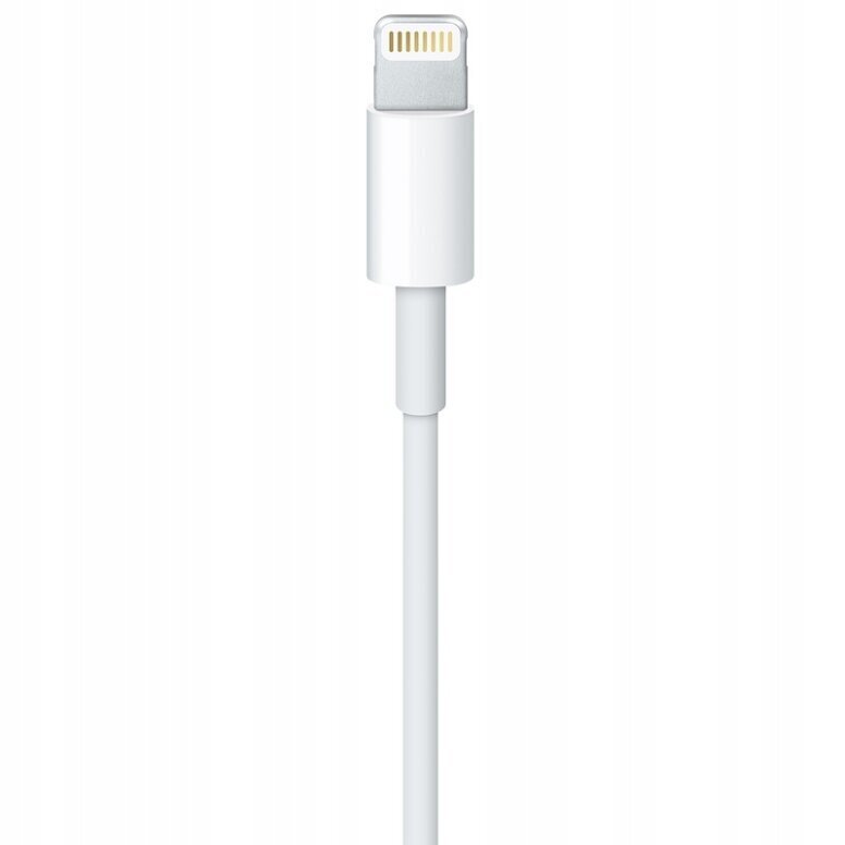 LĀDĒTĀJA ZIBSPULDZES KABELIS IPHONE USB-C 12 13 2M цена и информация | Savienotājkabeļi | 220.lv