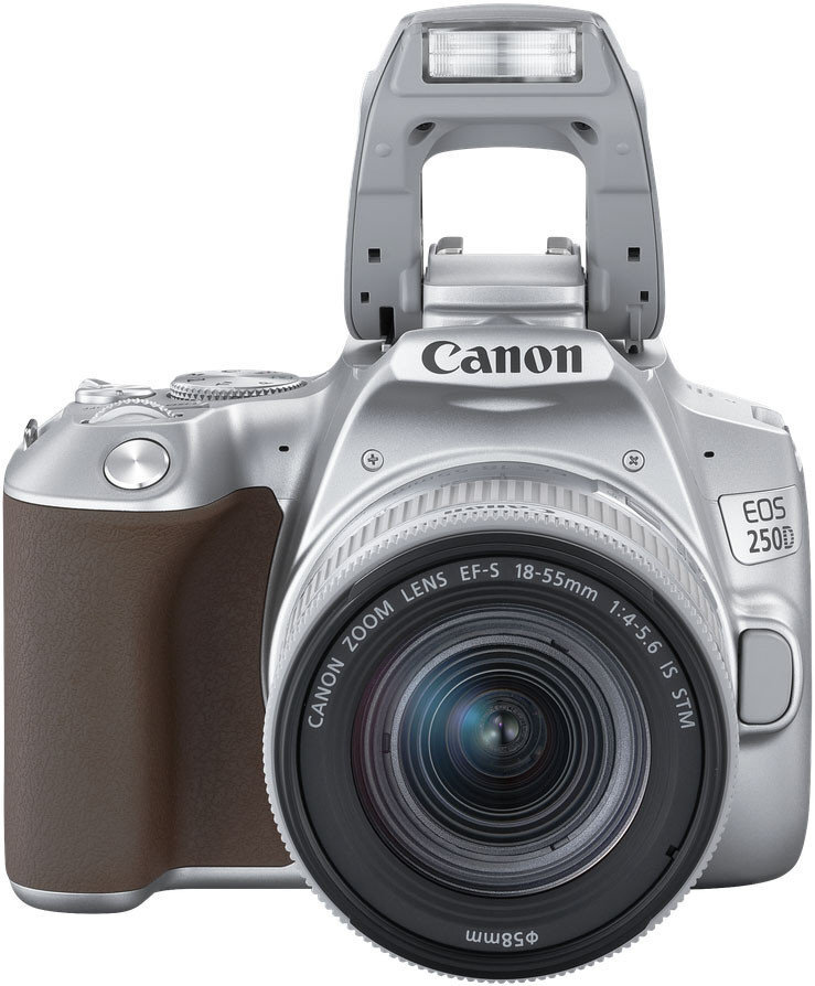 Canon EOS 250D + 18-55mm IS STM Kit, sudrabots цена и информация | Digitālās fotokameras | 220.lv