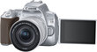 Canon EOS 250D + 18-55mm IS STM Kit, sudrabots цена и информация | Digitālās fotokameras | 220.lv