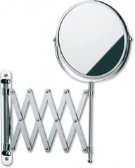 Spogulis Avita with wall mounting, 18,5 x 35,5 cm, tērauds, sudraba cena un informācija | Spoguļi | 220.lv