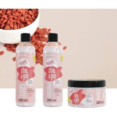 Kondicionieris Katai Chia goji pudding 300 ml cena un informācija | Matu kondicionieri, balzāmi | 220.lv