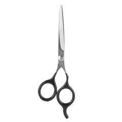 Ножницы Beter из нержавеющей стали, 15 см цена и информация | Расчески, щетки для волос, ножницы | 220.lv