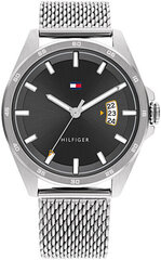 Женские часы Tommy Hilfiger Carter 1791912 цена и информация | Женские часы | 220.lv