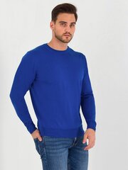 Мужской джемпер STORGIO Sapphire 563905286, синий цена и информация | Мужские свитера | 220.lv