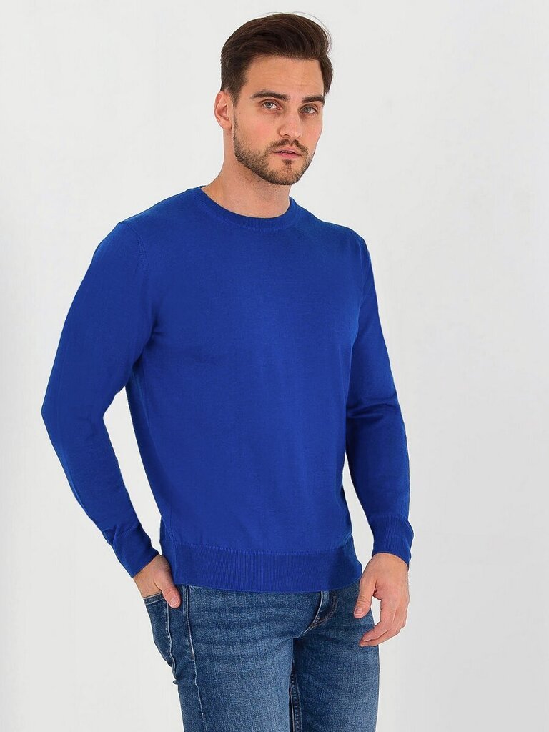 STORGIO Sapphire 563905286 cena un informācija | Vīriešu džemperi | 220.lv