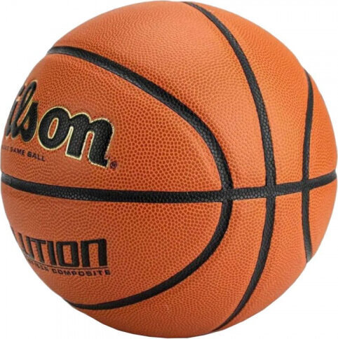 Wilson Evolution iekštelpu spēļu bumba WTB0586XBEMEA цена и информация | Basketbola bumbas | 220.lv
