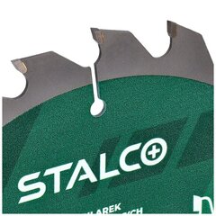 Koka griešanas disks STALCO 165x20x24 цена и информация | Шлифовальные машины | 220.lv