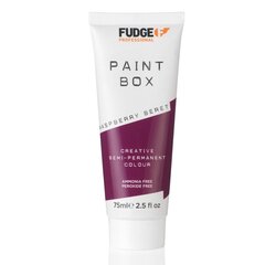 Puspermanentā matu krāsa Fudge Paintbox Creative Semi-Permanent Colour Raspberry Beret, 75 ml cena un informācija | Fudge Smaržas, kosmētika | 220.lv