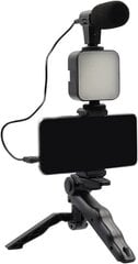Video producēšanas video statīva komplekts AY-49 ar mikrofonu un gaismu tiešraides straumēšanai цена и информация | Микрофоны | 220.lv