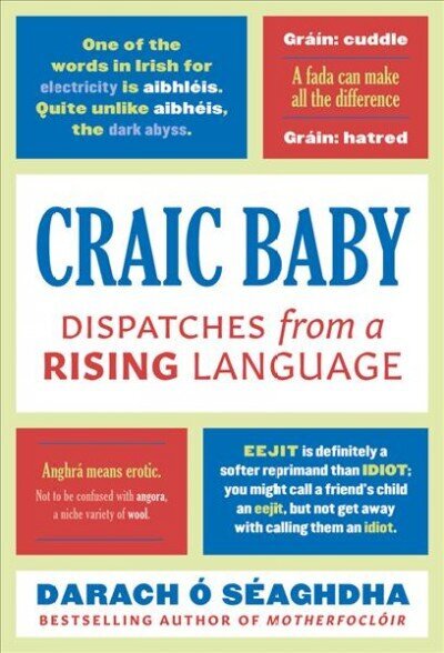 Craic Baby: Dispatches from a Rising Language cena un informācija | Svešvalodu mācību materiāli | 220.lv