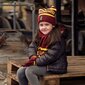 Cepure, šalle un cimdi bērniem Harry Potter S0734650, sarkani cena un informācija | Bērnu aksesuāri | 220.lv