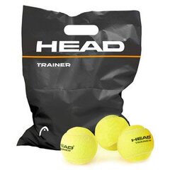 Head Trainer теннисный мяч 578120 цена и информация | HEAD Теннис | 220.lv