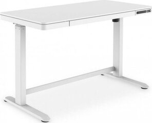 Электрический регулируемый стол Digitus DA-90406, белый цена и информация | Компьютерные, письменные столы | 220.lv