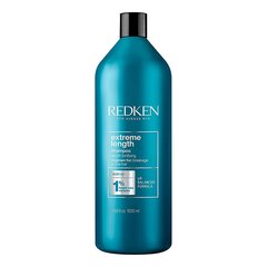 Šampūns redken, 1000 ml цена и информация | Шампуни | 220.lv