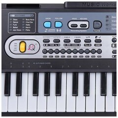 MQ 6119 KEYBOARD sintezetors ar mikrofonu bērniem cena un informācija | Taustiņinstrumenti | 220.lv