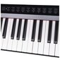 DNA SP 88 digitālās klavieres Bluetooth MIDI taustiņi цена и информация | Taustiņinstrumenti | 220.lv