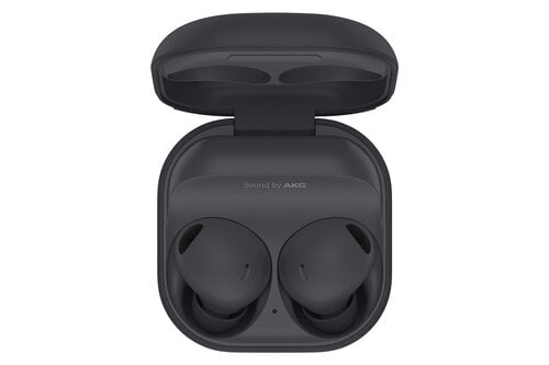 Samsung Galaxy Buds 2 Pro Graphite SM-R510NZAAEUB cena un informācija | Austiņas | 220.lv