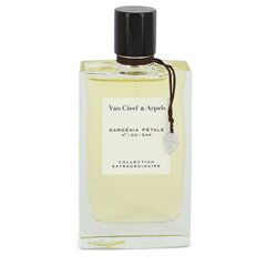 Van cleef smaržas, 75ml цена и информация | Женские духи | 220.lv