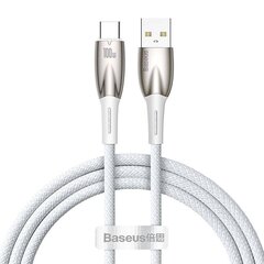 USB-кабель для USB-C Baseus Glimmer Series, 100 Вт, 1 м (белый) цена и информация | Кабели для телефонов | 220.lv