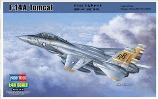 Hobby Boss F-14 A Tomcat cena un informācija | Kolekcionējamie modeļi | 220.lv