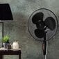 Berlinger Haus Black Rose grīdas ventilators, melns 40W cena un informācija | Ventilatori | 220.lv
