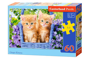 Puzle Castorland Ginger Kittens,, 60 daļas cena un informācija | Puzles, 3D puzles | 220.lv