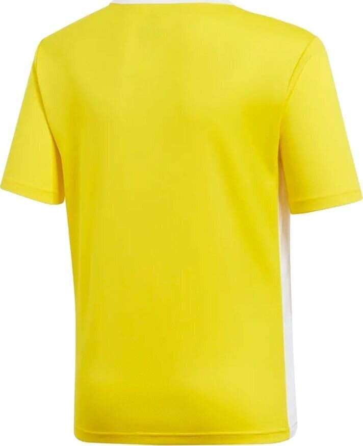 T-krekls Adidas TeamWear, dzeltens cena un informācija | Futbola formas un citas preces | 220.lv