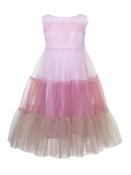 Детское платье SLY Tulle Multicolor Pink цена и информация | Платья для девочек | 220.lv