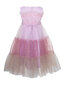 Kleita meitenēm SLY Tulle Multicolor Pink, rozā cena un informācija | Kleitas meitenēm | 220.lv