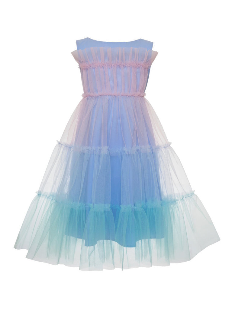 Kleita meitenēm SLY Tulle Multicolor Blue, zila cena un informācija | Kleitas meitenēm | 220.lv