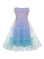 Kleita meitenēm SLY Tulle Multicolor Blue, zila cena un informācija | Kleitas meitenēm | 220.lv