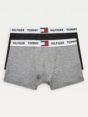 Трусы для мальчика TOMMY HILFIGER Tommy 85 Logo, 2 шт. цена и информация | Нижнее белье для мальчиков | 220.lv
