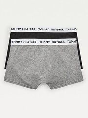 Трусы для мальчика TOMMY HILFIGER Tommy 85 Logo, 2 шт. цена и информация | Нижнее белье для мальчиков | 220.lv