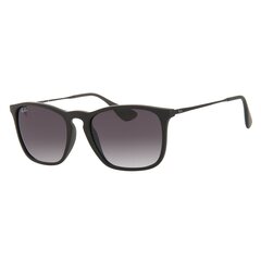 Saulesbrilles Ray Ban cena un informācija | Saulesbrilles sievietēm | 220.lv