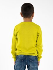 Džemperis KIMKO Wasabi, zaļš cena un informācija | Zēnu jakas, džemperi, žaketes, vestes | 220.lv